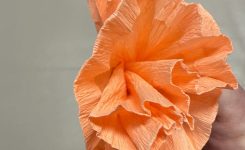 “Crepe Paper Flowers”